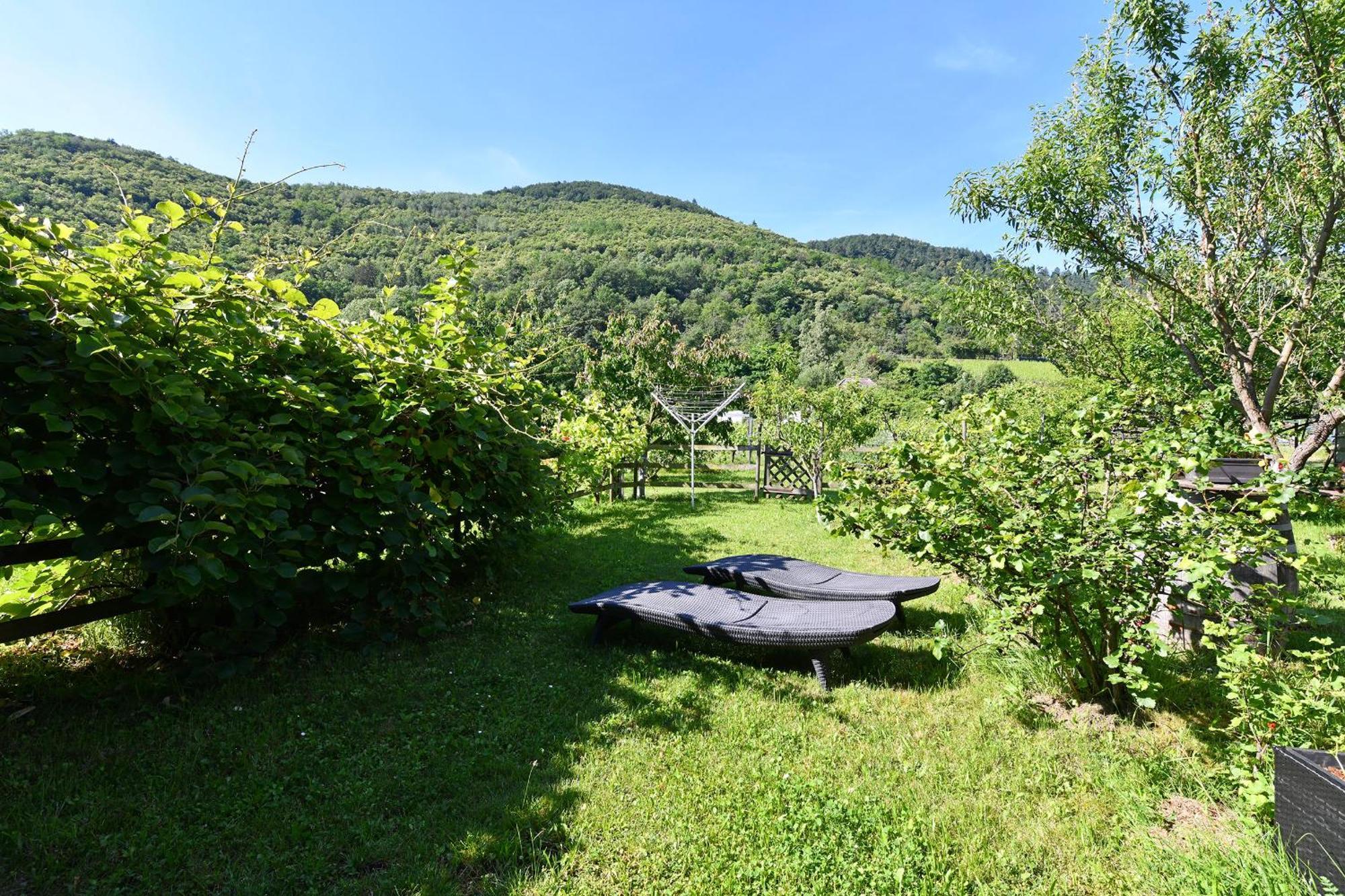 Paquerettes - Maison Avec Jardin Et Parking Kaysersberg-Vignoble Exterior photo